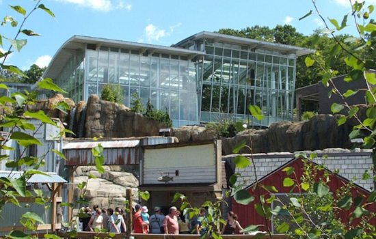 Pittsburgh Zoo to Debut 'Ice Age: Frozen in Time' Exhibit Featuring Animatronic Prehistoric Giants