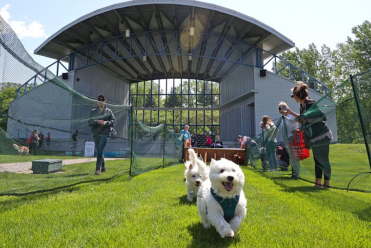 Plymouth Bark in the Park Set to Delight Dog Lovers and Pets at Hilde Performance Center