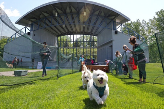 Plymouth Bark in the Park Set to Delight Dog Lovers and Pets at Hilde Performance Center