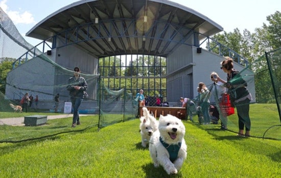 Plymouth Bark in the Park Set to Delight Dog Lovers and Pets at Hilde Performance Center