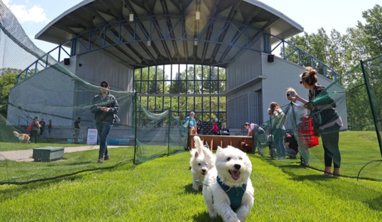Plymouth Bark in the Park Set to Delight Dog Lovers and Pets at Hilde Performance Center