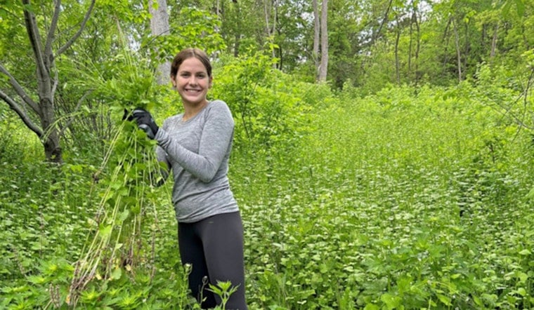 Plymouth Community Rallies for The Great Garlic Mustard Challenge to Protect Local Ecosystem