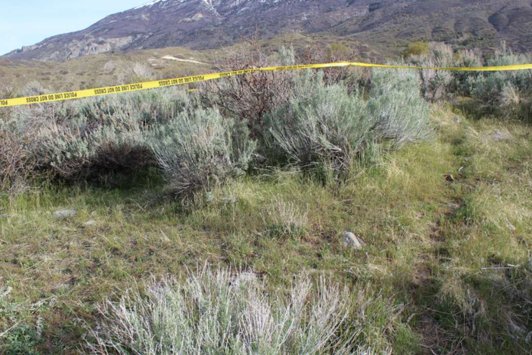 Police Investigate After Human Remains Found in Lambert Park, Alpine