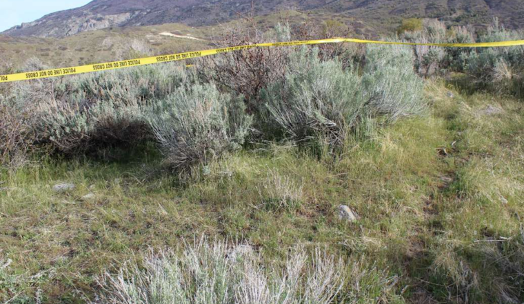 Police Investigate After Human Remains Found in Lambert Park, Alpine
