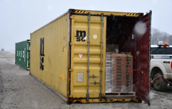 Port Huron CBP Intercepts Invasive Asian Long Horned Beetle Amid Cargo from Romania