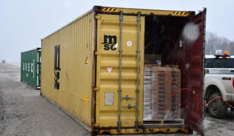 Port Huron CBP Intercepts Invasive Asian Long Horned Beetle Amid Cargo from Romania