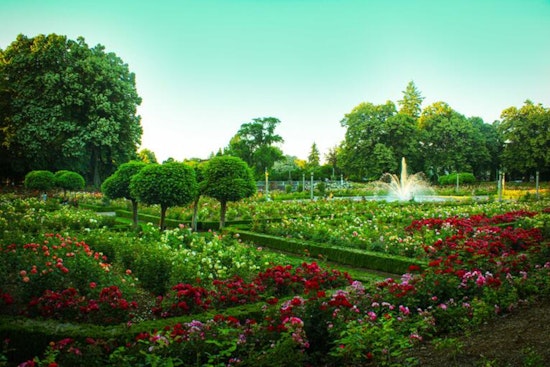 Portland Blooms, Explore the Colorful Array at Local Public Gardens This Spring
