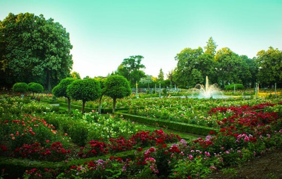 Portland Blooms, Explore the Colorful Array at Local Public Gardens This Spring