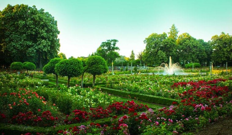 Portland Blooms, Explore the Colorful Array at Local Public Gardens This Spring