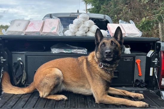Portland Police Partner with FBI in Major Fentanyl Crackdown, 46 Arrested and Deadly Opioids Seized
