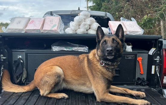 Portland Police Partner with FBI in Major Fentanyl Crackdown, 46 Arrested and Deadly Opioids Seized