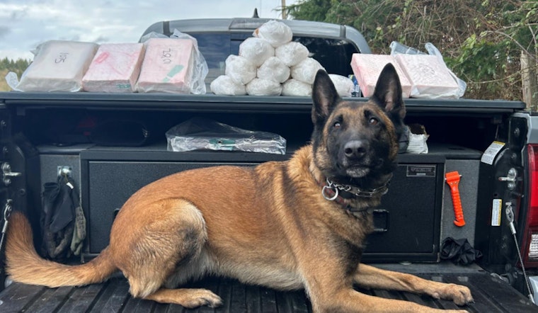 Portland Police Partner with FBI in Major Fentanyl Crackdown, 46 Arrested and Deadly Opioids Seized
