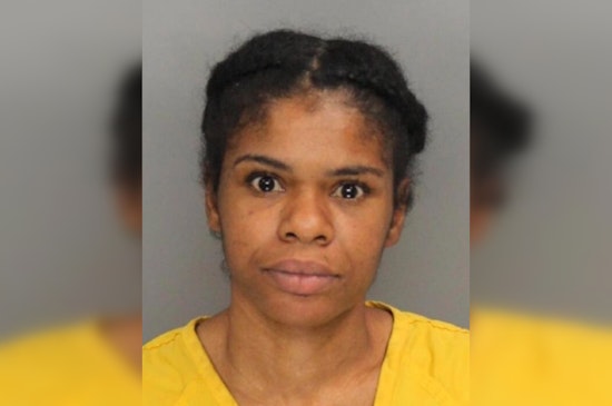 Powder Springs Delivery Driver Arrested for Mail Theft, Dozens of Packages Found in Car During Kennesaw Traffic Stop