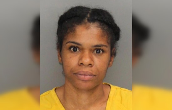 Powder Springs Delivery Driver Arrested for Mail Theft, Dozens of Packages Found in Car During Kennesaw Traffic Stop