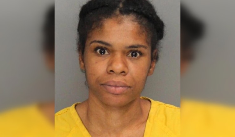 Powder Springs Delivery Driver Arrested for Mail Theft, Dozens of Packages Found in Car During Kennesaw Traffic Stop