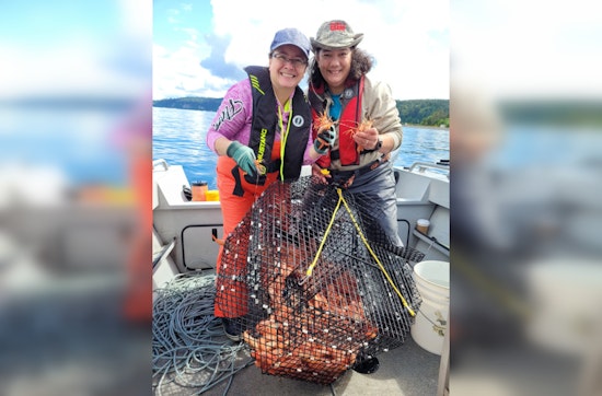 Puget Sound Shrimping Season Kicks Off May 21, Some Areas Closed to Protect Populations