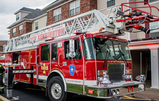 Quick-Thinking Business Owner Extinguishes Blaze at New Kensington Cat Rescue