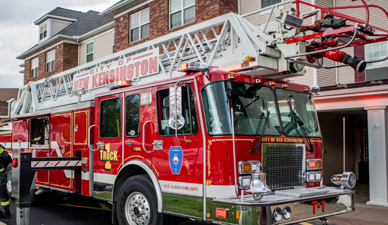Quick-Thinking Business Owner Extinguishes Blaze at New Kensington Cat Rescue