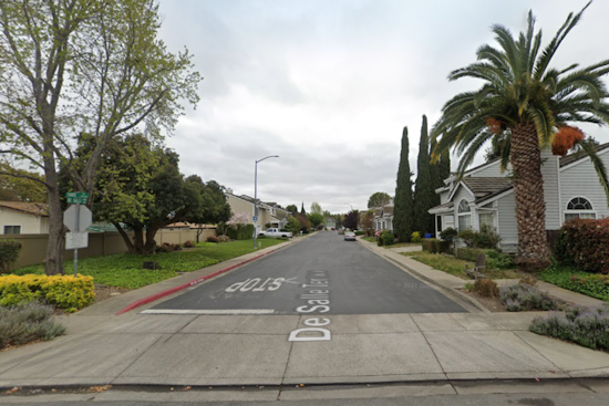 Rabid Bat Discovered in Fremont's Niles Neighborhood, Authorities Urge Public Caution and Pet Vaccinations