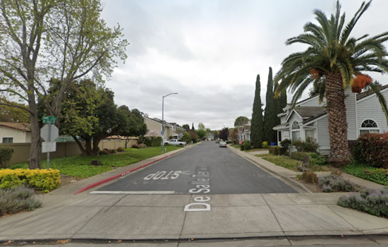 Rabid Bat Discovered in Fremont's Niles Neighborhood, Authorities Urge Public Caution and Pet Vaccinations
