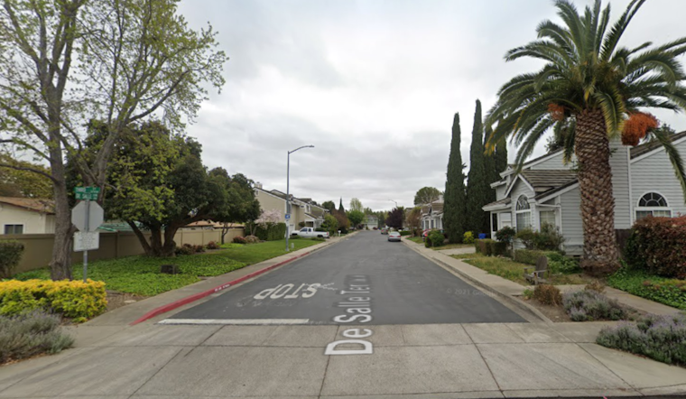 Rabid Bat Discovered in Fremont's Niles Neighborhood, Authorities Urge Public Caution and Pet Vaccinations