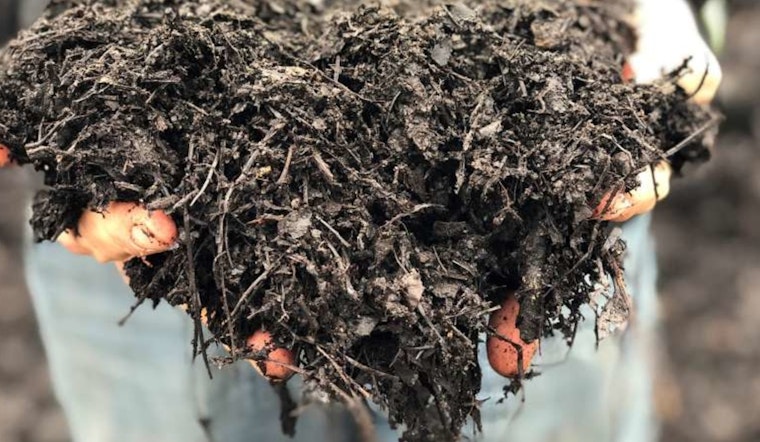 Raleigh's Yard Waste Center Offers Mulching Tips and Heads-Up on Busy Season Preparations
