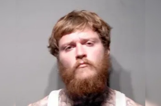 Redford Township Man Charged with Animal Cruelty for Allegedly Killing Kitten in Detroit