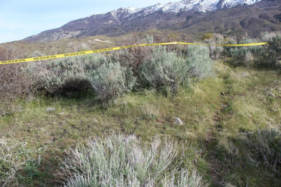 Remains Found in Lambert Park Identified as Missing Alpine Woman Gabrielle Makenna Shull