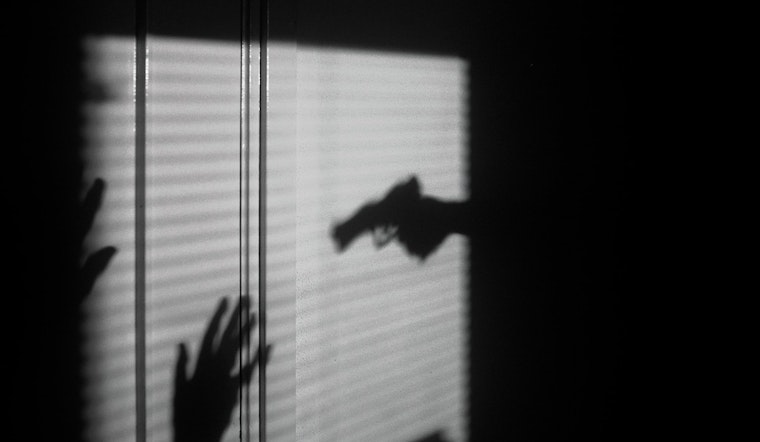 Rice County to Spotlight Domestic Violence Crisis with Multi-Agency Discussion Event