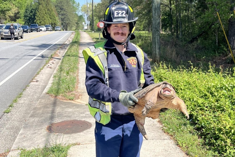 Roswell Firefighter Rescues Traffic-Stopping Turtle on Crabapple Road