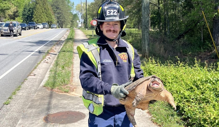 Roswell Firefighter Rescues Traffic-Stopping Turtle on Crabapple Road
