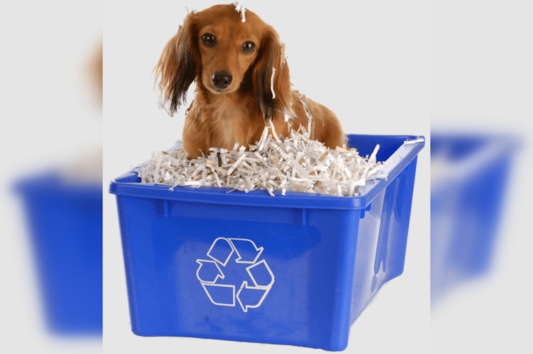 Round Rock's 'Shred for a Paws Cause' Event on April 12 Aids Local Animal Shelter and Promotes Recycling