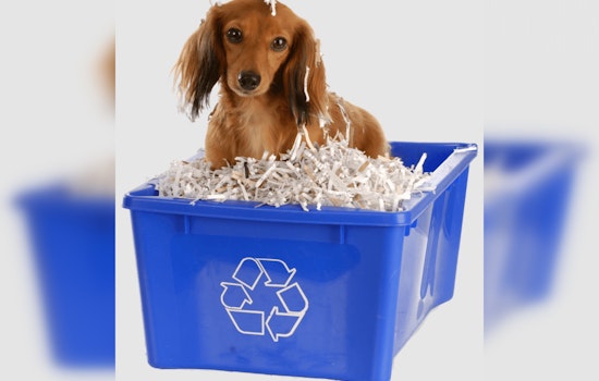 Round Rock's 'Shred for a Paws Cause' Event on April 12 Aids Local Animal Shelter and Promotes Recycling