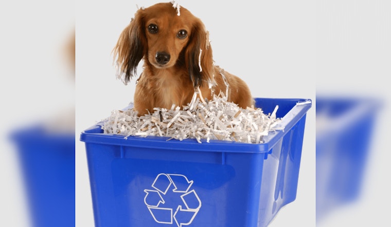 Round Rock's 'Shred for a Paws Cause' Event on April 12 Aids Local Animal Shelter and Promotes Recycling