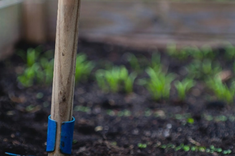 Sacramento Offers Free Compost to Residents for Eco-Friendly Gardening and Landfill Reduction