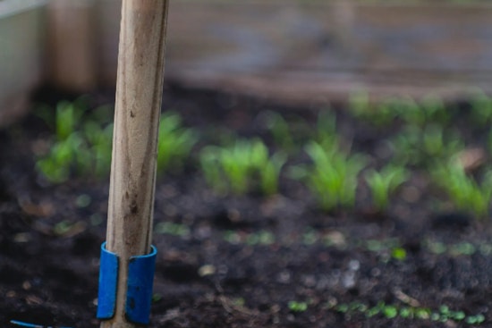 Sacramento Offers Free Compost to Residents for Eco-Friendly Gardening and Landfill Reduction