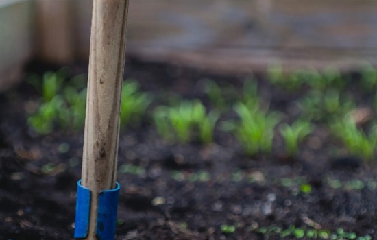 Sacramento Offers Free Compost to Residents for Eco-Friendly Gardening and Landfill Reduction