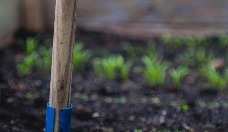 Sacramento Offers Free Compost to Residents for Eco-Friendly Gardening and Landfill Reduction