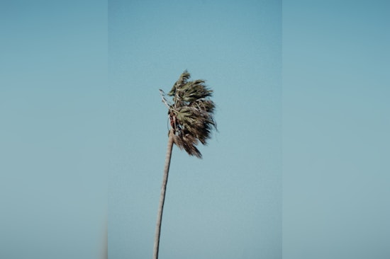 Sacramento Region Braces for Warm, Dry Conditions and Breezy Winds This Week