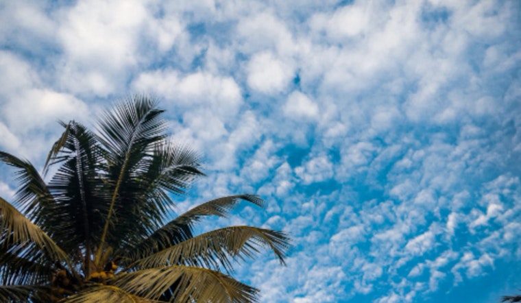 Sacramento to Bask in Mild Weekend Weather Before Light Rain Arrives