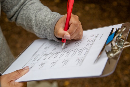 Sacramento's Homelessness Response Shows Progress with Over 800 Calls Addressed and Vital Shelter Placements
