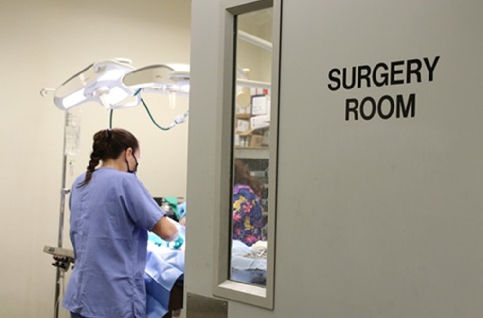 San Antonio Unveils New Westside Spay-Neuter Clinic to Combat Pet Overpopulation