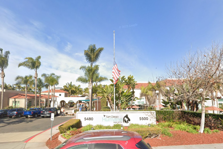 UPDATE: San Diego Mayor's Budget Proposal Sparks Controversy with $3.5M Cut to Humane Society Amid $258M City Deficit
