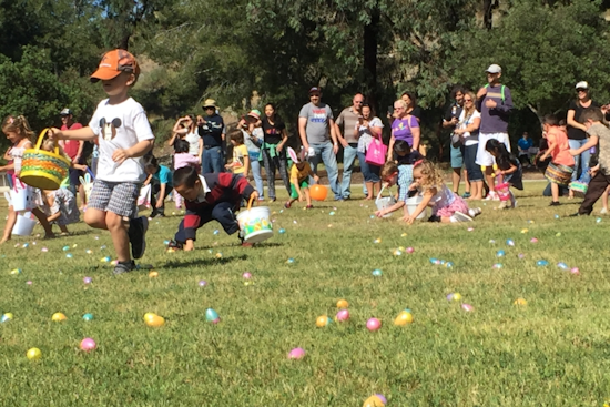 San Diego Parks and Rec Department Hosts Array of Free Spring Events for Families