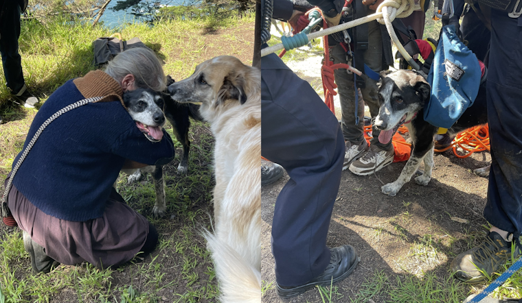 San Francisco Fire Department Skillfully Executes Cliff Rescue, Saving Adult and Injured Dog at Mile Rock