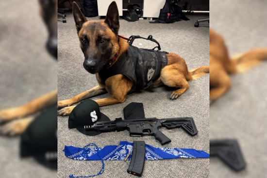 Santa Rosa Police Detain Suspect and Seize Unregistered AR-15 Rifle, 18-Year-Old Charged With Robbery and Gang Participation