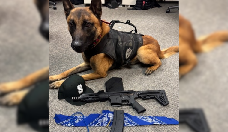 Santa Rosa Police Detain Suspect and Seize Unregistered AR-15 Rifle, 18-Year-Old Charged With Robbery and Gang Participation