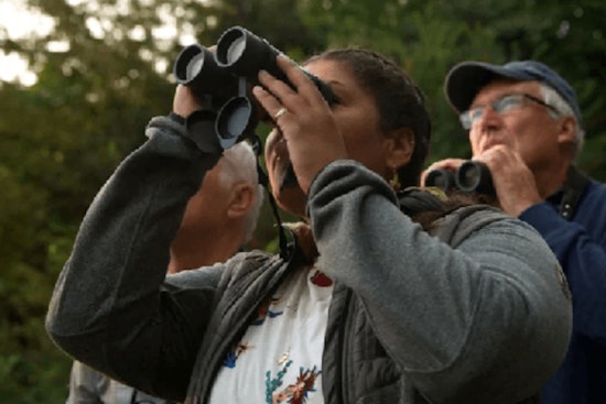 Scott County's Murphy-Hanrehan Park Reserve to Host Birdwatching Event on May 31