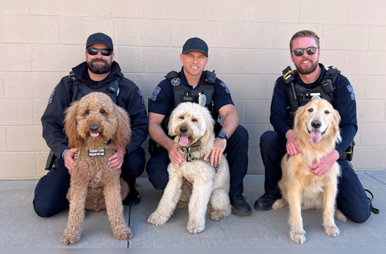 Scottsdale's Four-Legged Heroes Play Vital Roles in Policing and Community Support