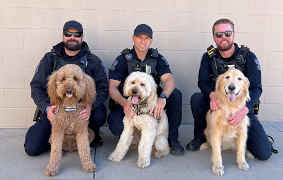 Scottsdale's Four-Legged Heroes Play Vital Roles in Policing and Community Support